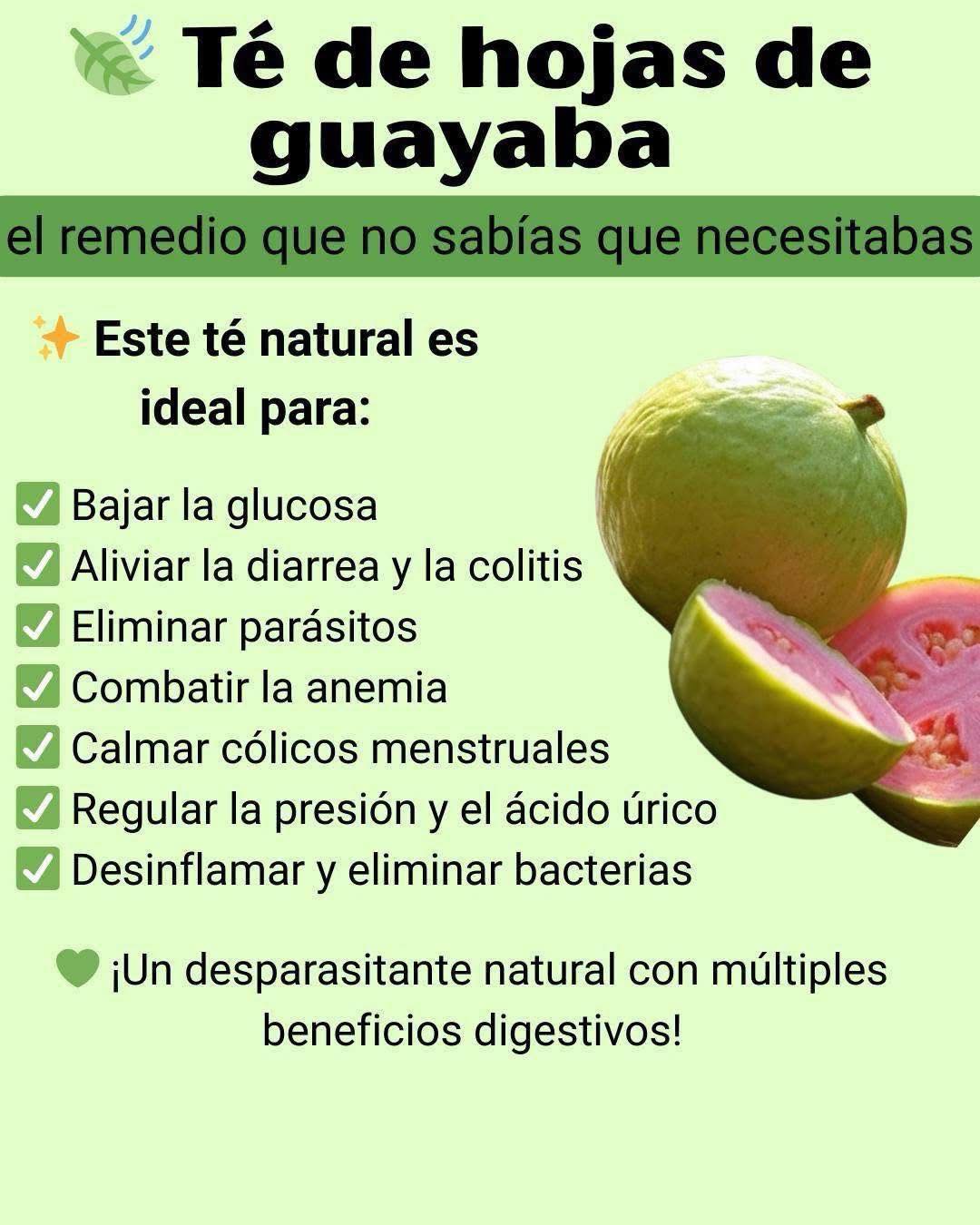 Te DE HOJAS DE GUAYABA - INICIO
