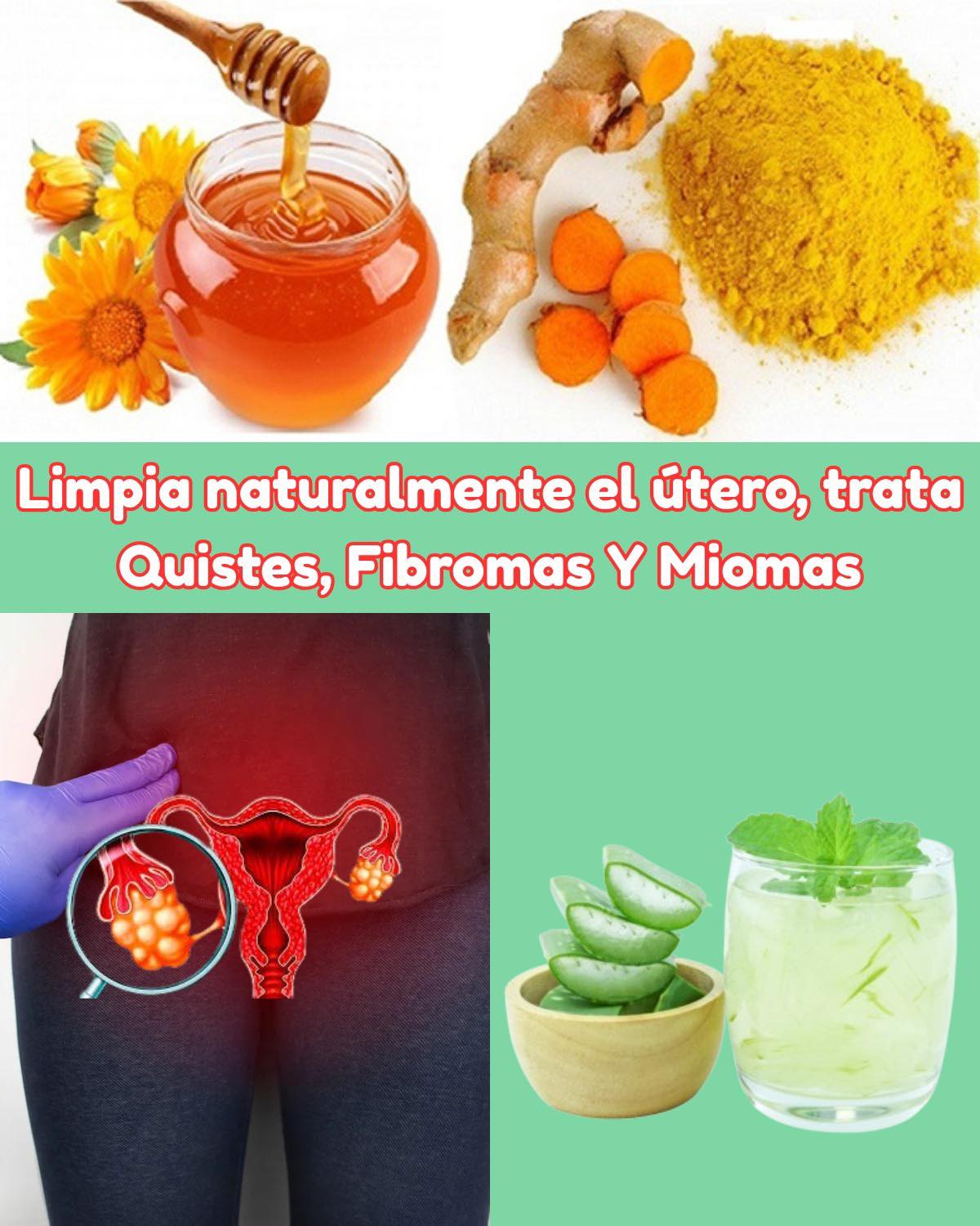 Remedios Naturales para Quistes y Miomas: Alternativas Efectivas - INICIO