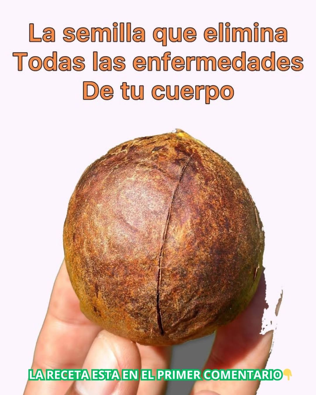 ESCUBRE LOS BENEFICIOS DE SU SEMILLA - INICIO