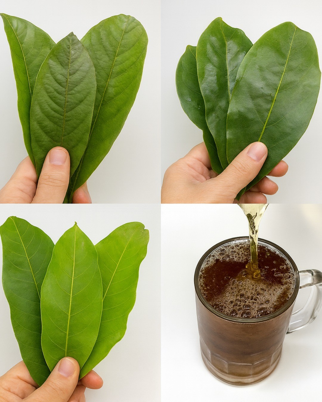 MÁS ALLÁ DE UN SIMPLE TÉ - INICIO