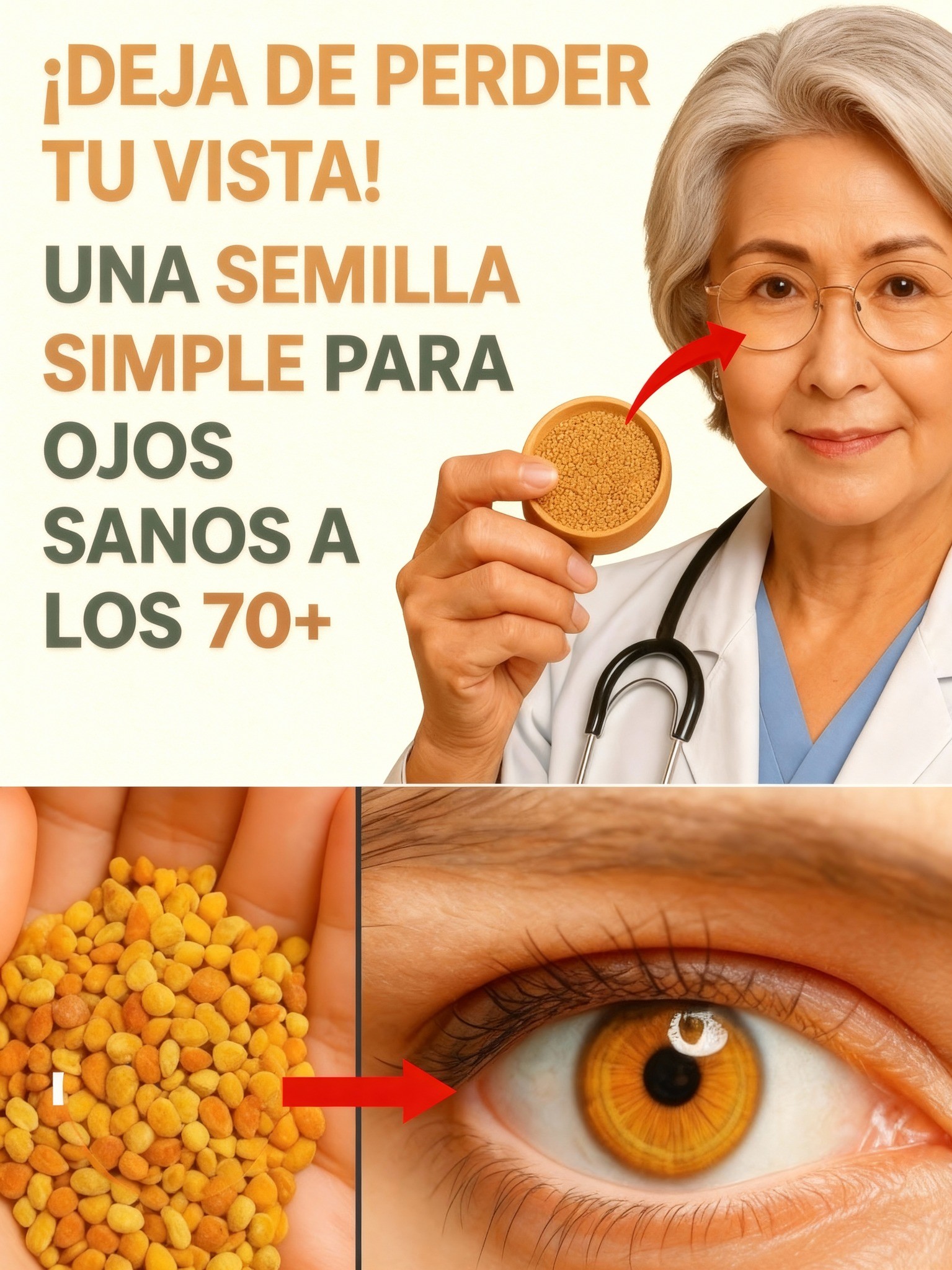 Coma esta semilla a diario para agudizar la vista y la retina de forma ...